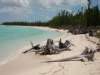 GILLIUM BAY 5 